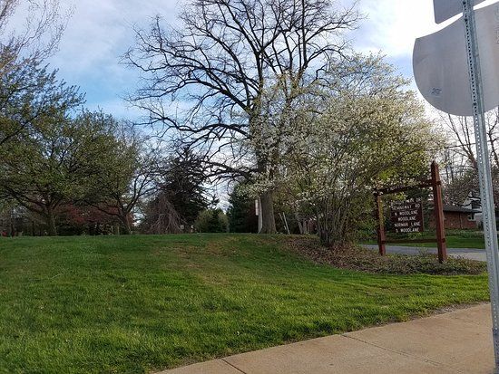 Morton Park