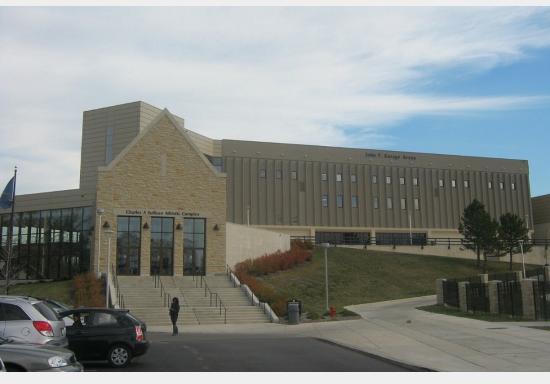 Savage Arena
