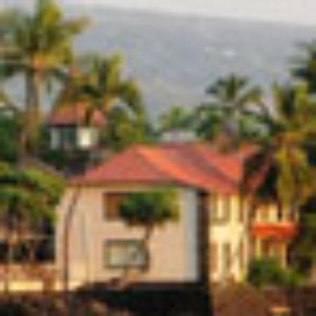 Pizza Point