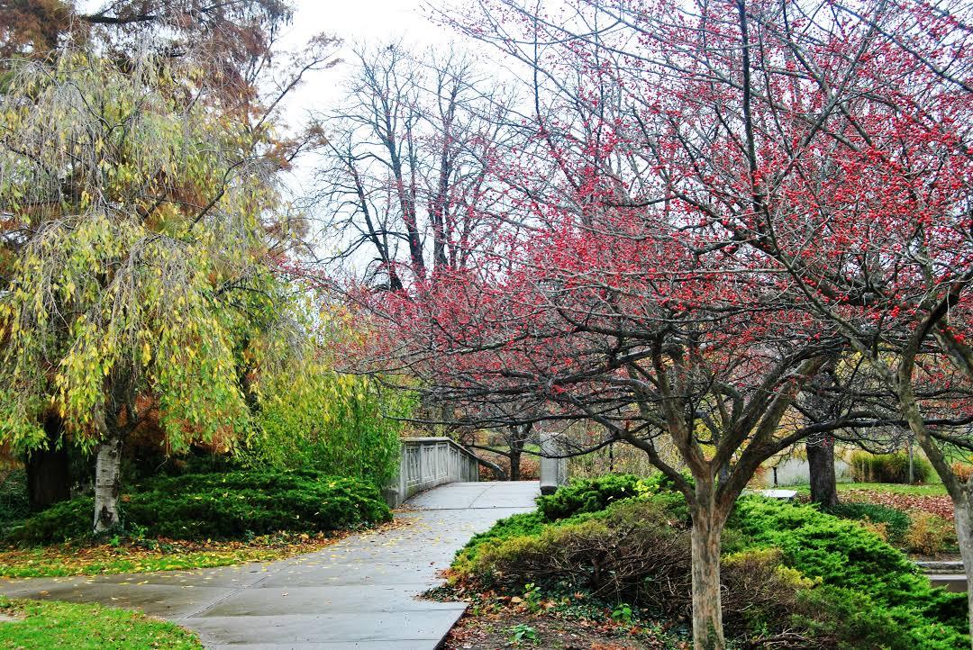 Eden Park