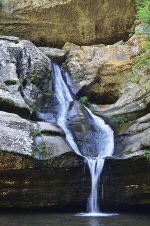 Cedar Falls Hiking Trail