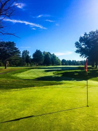 Forest Hills Golf Course