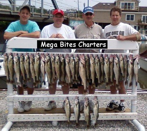 Mega Bites Charters