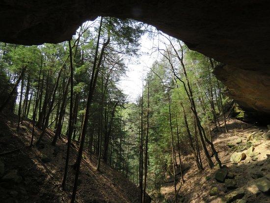 Hemlock Bridge Trail