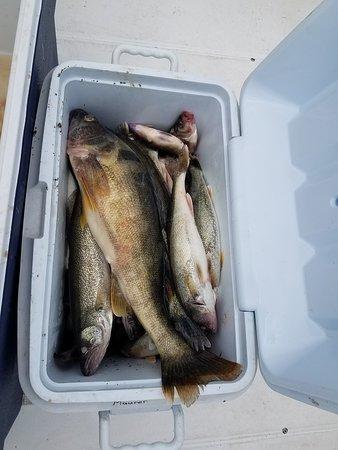 Foxy Lady Fishing Charters