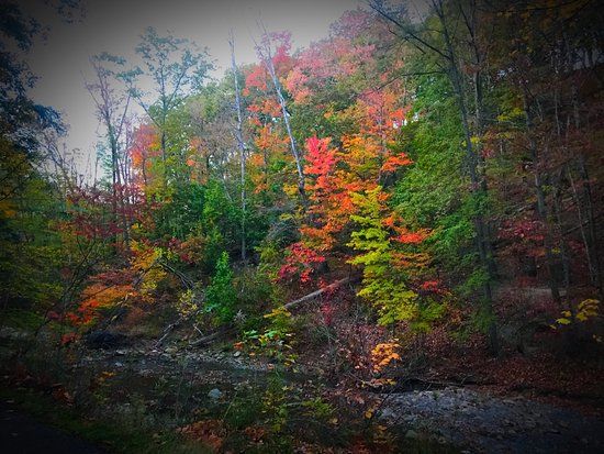 Euclid Creek Reservation
