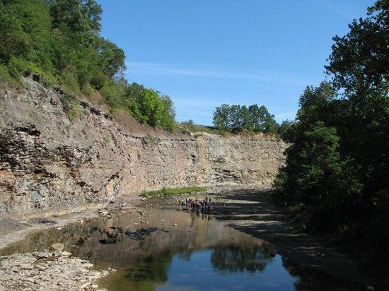 Mill Hollow-Bacon Woods Memorial Park