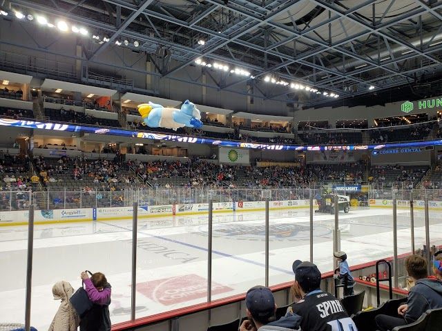 Toledo Walleye Hockey