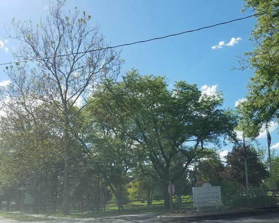 Olander Park
