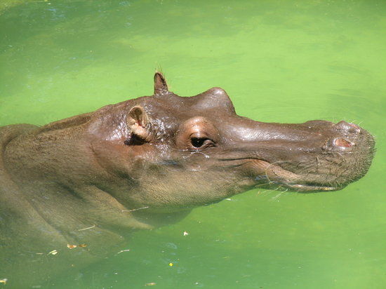Cleveland Metroparks Zoo