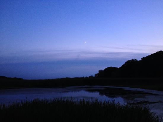 Mentor Marsh
