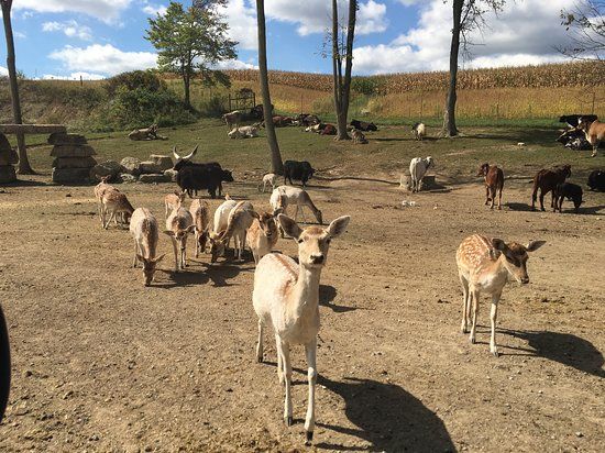 The Farm at Walnut Creek