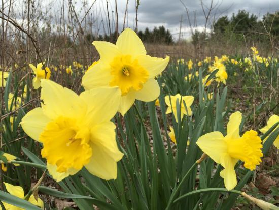 Gahanna Woods State Nature Preserve