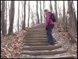 Salt Run Trail