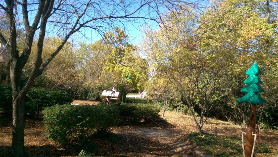 Coffman Park