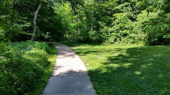 Parkers Woods and Buttercup Valley Nature Preserve